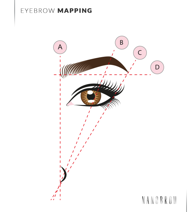 how to determine the shape of the eyebrows