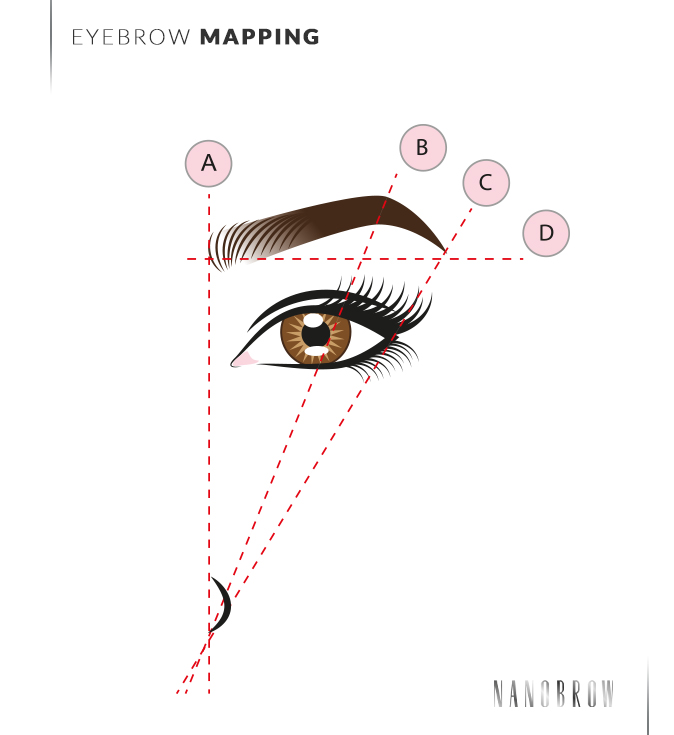 https://nanobrow.us/assets/uploads/2023/03/eyebrow-mapping-how-to-sculpt-perfect-arches-2.jpg?utm_source=chatgpt.com